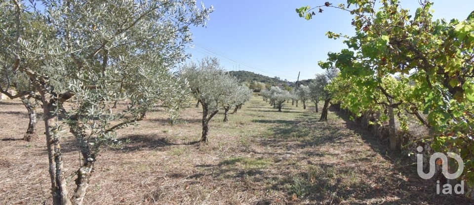 Maison traditionnelle T4 à São Miguel, Santa Eufémia e Rabaçal de 355 m²