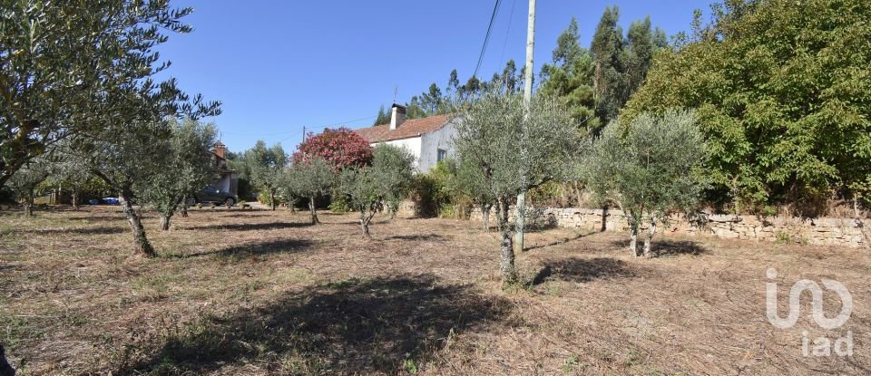 Maison traditionnelle T4 à São Miguel, Santa Eufémia e Rabaçal de 355 m²