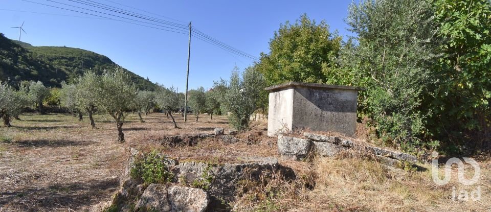 Maison traditionnelle T4 à São Miguel, Santa Eufémia e Rabaçal de 355 m²