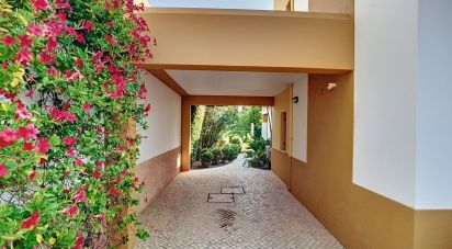 House T4 in Guia of 235 m²