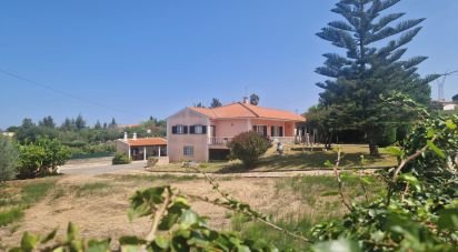 Casa / Villa T4 em Lamas e Cercal de 315 m²