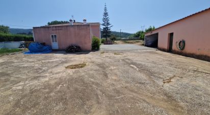 Casa / Villa T4 em Lamas e Cercal de 315 m²