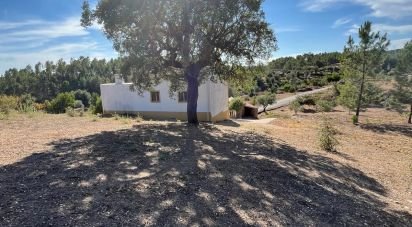 Village house T3 in Sobreira Formosa e Alvito da Beira of 127 m²