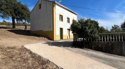 Village house T3 in Sobreira Formosa e Alvito da Beira of 127 m²