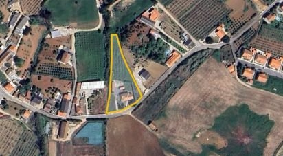 Casa / Villa T4 em Lamas e Cercal de 315 m²