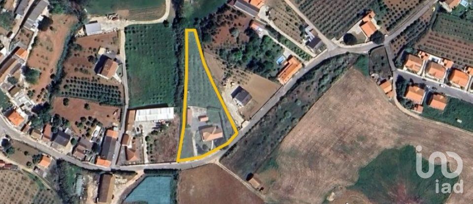 House T4 in Lamas e Cercal of 315 m²