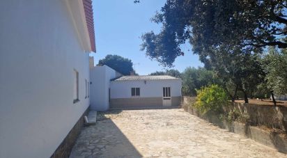 Village house T6 in Fátima of 383 m²