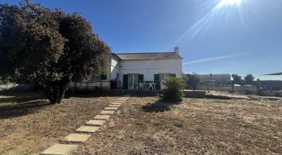 Farm T4 in Avanca of 263 m²