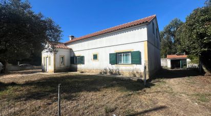 Farm T4 in Avanca of 263 m²