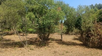 Land in Alvares of 3,228 m²