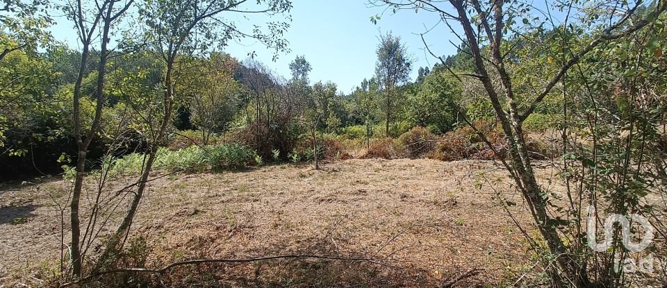 Land in Alvares of 3,228 m²