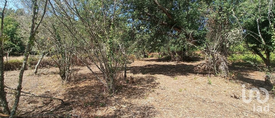 Land in Alvares of 3,228 m²