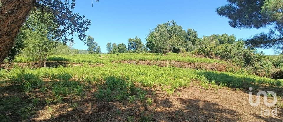 Land in Alvares of 3,228 m²