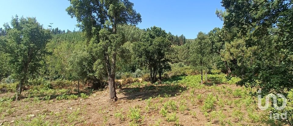 Land in Alvares of 3,228 m²