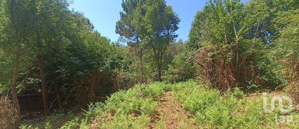 Land in Alvares of 3,228 m²