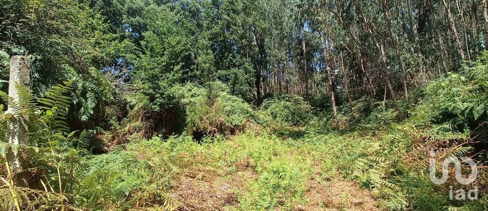 Land in Alvares of 3,228 m²