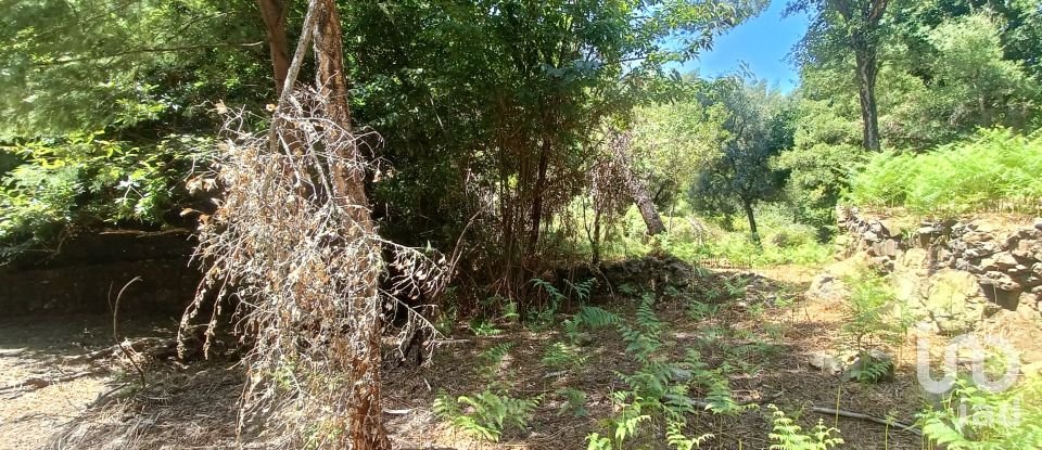 Land in Alvares of 3,228 m²