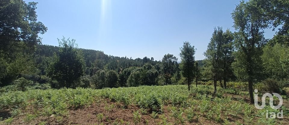 Land in Alvares of 3,228 m²