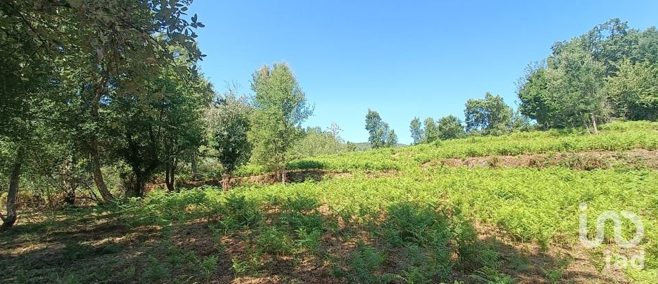 Land in Alvares of 3,228 m²