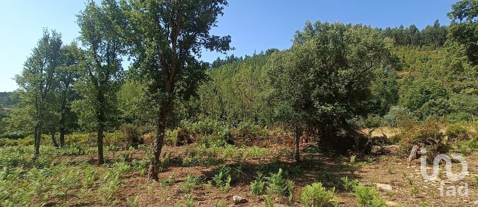 Land in Alvares of 3,228 m²