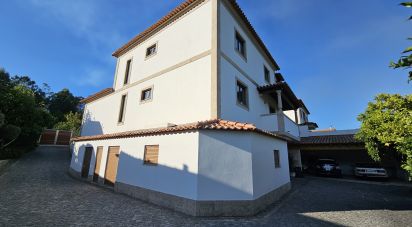 Lodge T4 in Quintiães E Aguiar of 241 m²