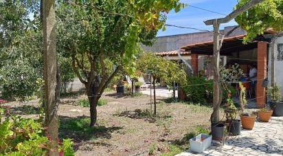 Land in Charneca De Caparica E Sobreda of 333 m²