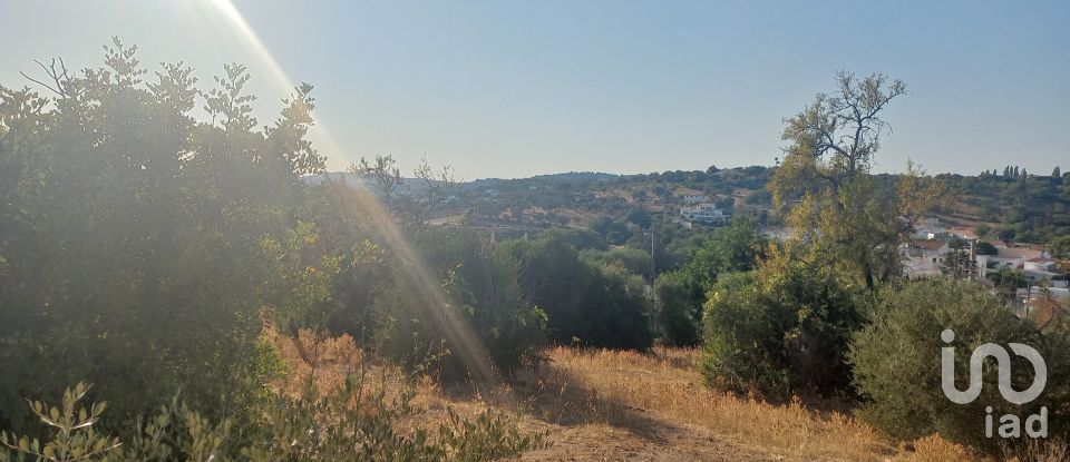 Land in Loulé (São Clemente) of 9,732 m²