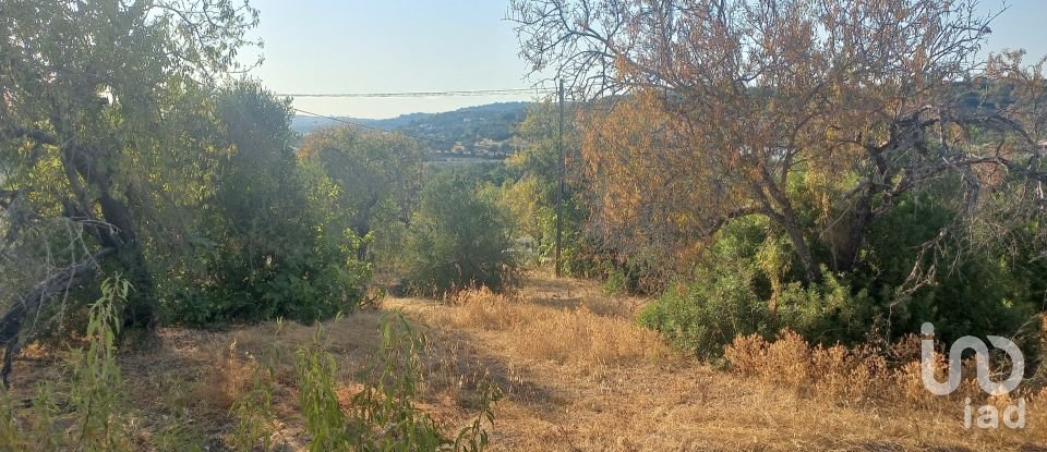 Terrain à Loulé (São Clemente) de 9 732 m²