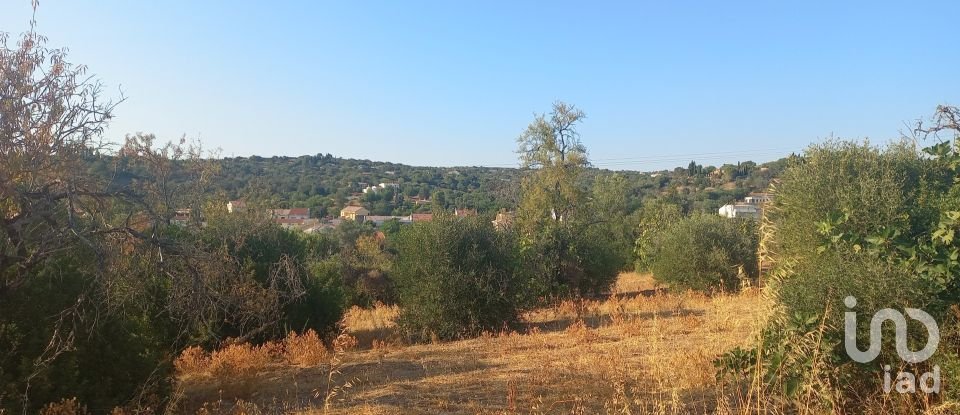 Terreno em Loulé (São Clemente) de 9 732 m²