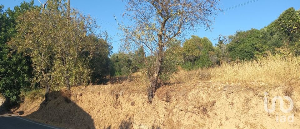 Terrain à Loulé (São Clemente) de 9 732 m²