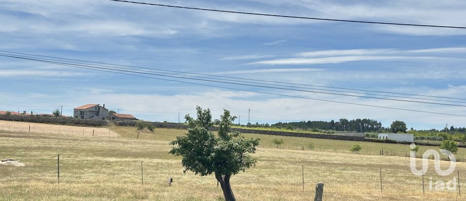 Comércio diverso T0 em Freixedas de 100 m²