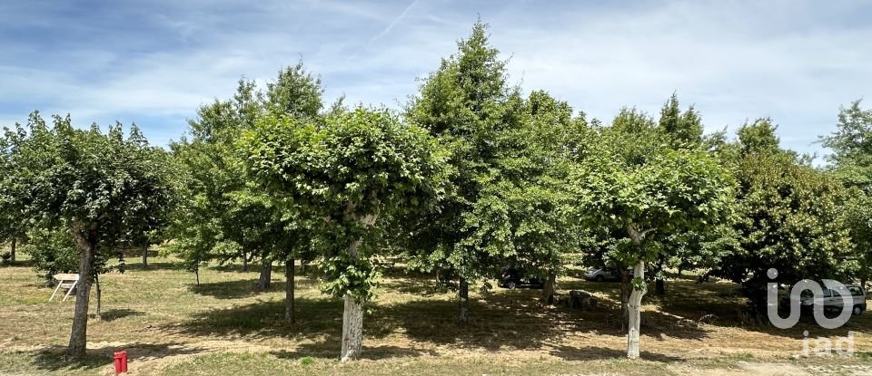 Comércio diverso T0 em Freixedas de 100 m²