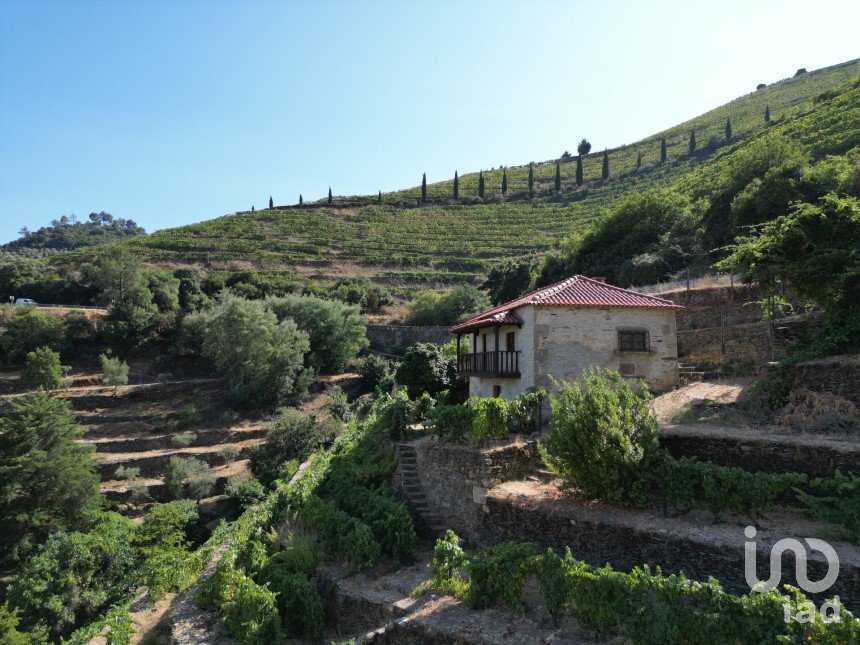 Ferme T1 à Tabuaço de 108 m²