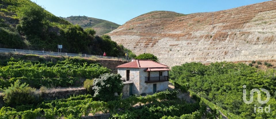 Ferme T1 à Tabuaço de 108 m²