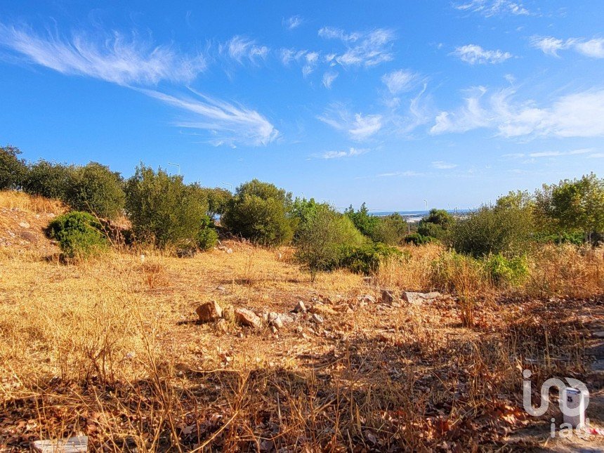 Land in Luz de Tavira e Santo Estêvão of 555 m²