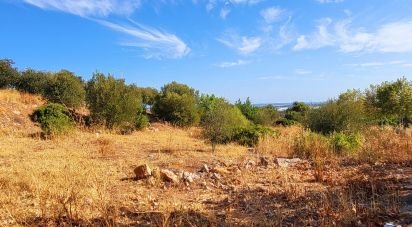 Land in Luz de Tavira e Santo Estêvão of 555 m²