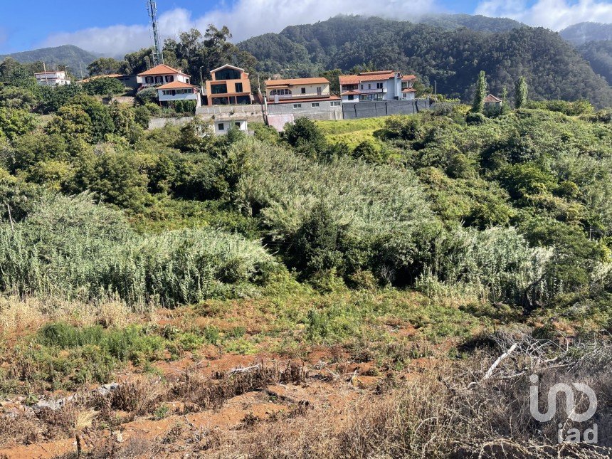 Terreno em Machico de 3 000 m²