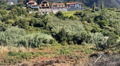 Land in Machico of 3,000 m²