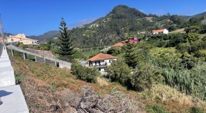 Land in Machico of 3,000 m²