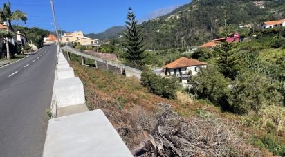 Terreno em Machico de 3 000 m²