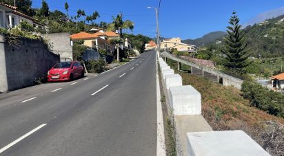 Terreno em Machico de 3 000 m²