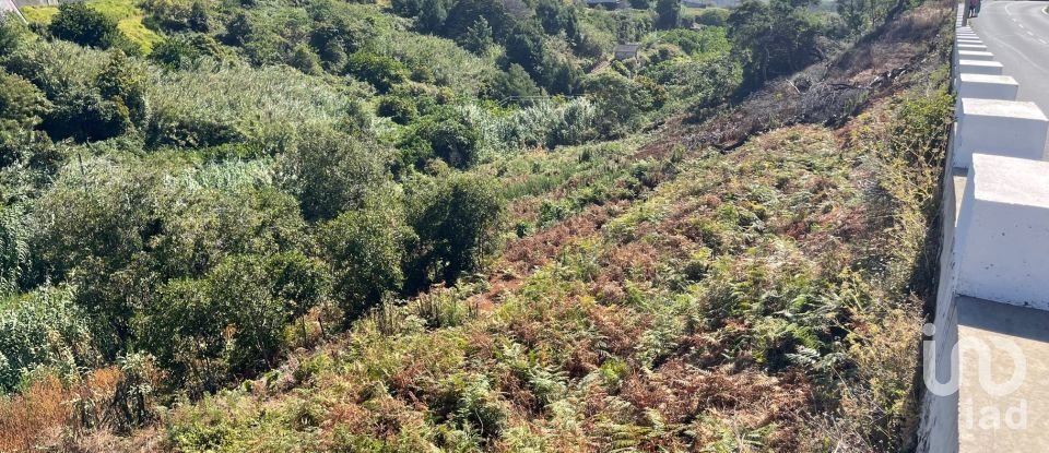 Terreno em Machico de 3 000 m²