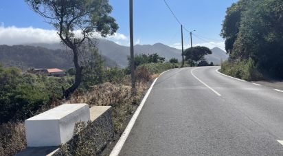 Land in Machico of 3,000 m²