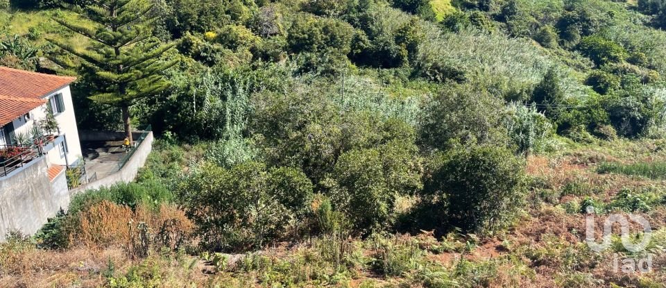 Land in Machico of 3,000 m²