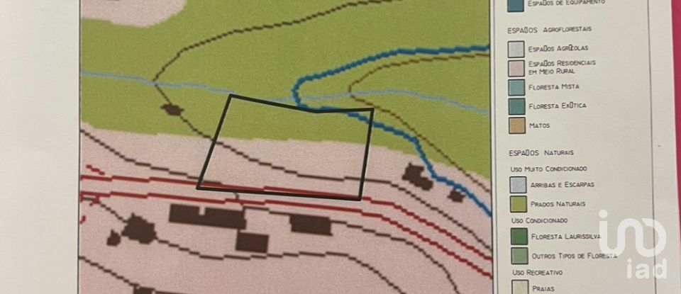 Terreno em Machico de 3 000 m²