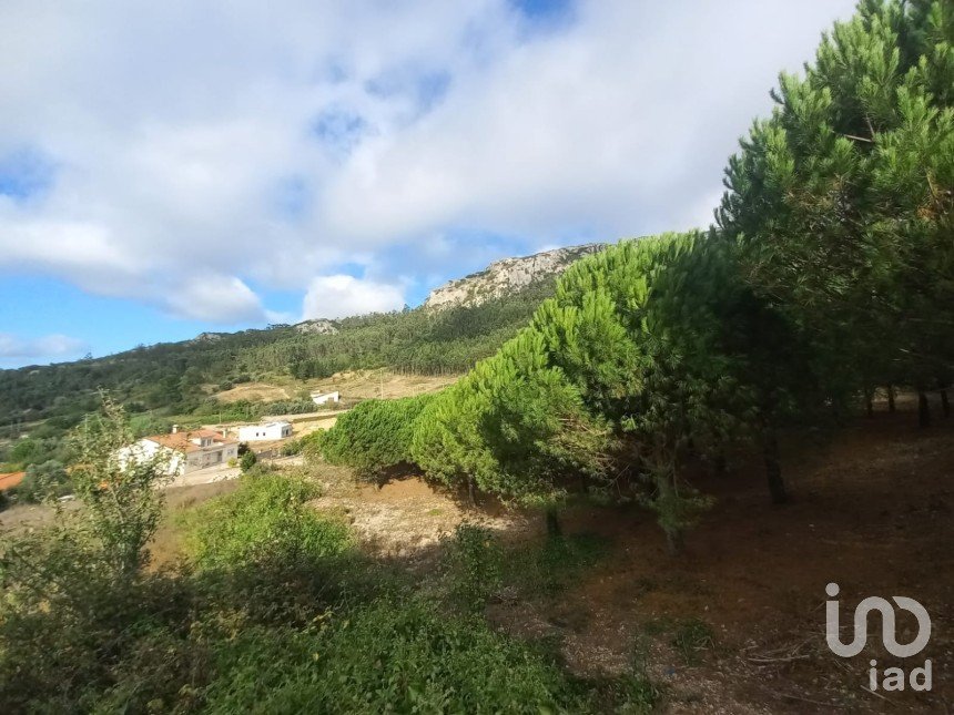 Building plot in Lamas e Cercal of 7,040 m²