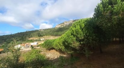 Building land in Lamas e Cercal of 7,040 m²