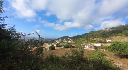 Building land in Lamas e Cercal of 7,040 m²