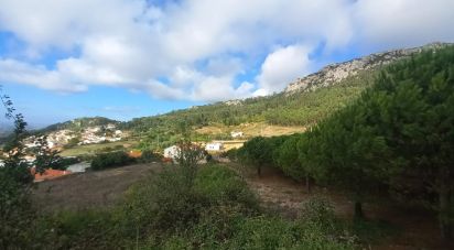 Building plot in Lamas e Cercal of 7,040 m²