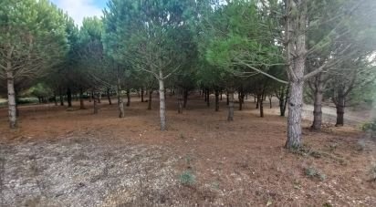 Building land in Lamas e Cercal of 7,040 m²